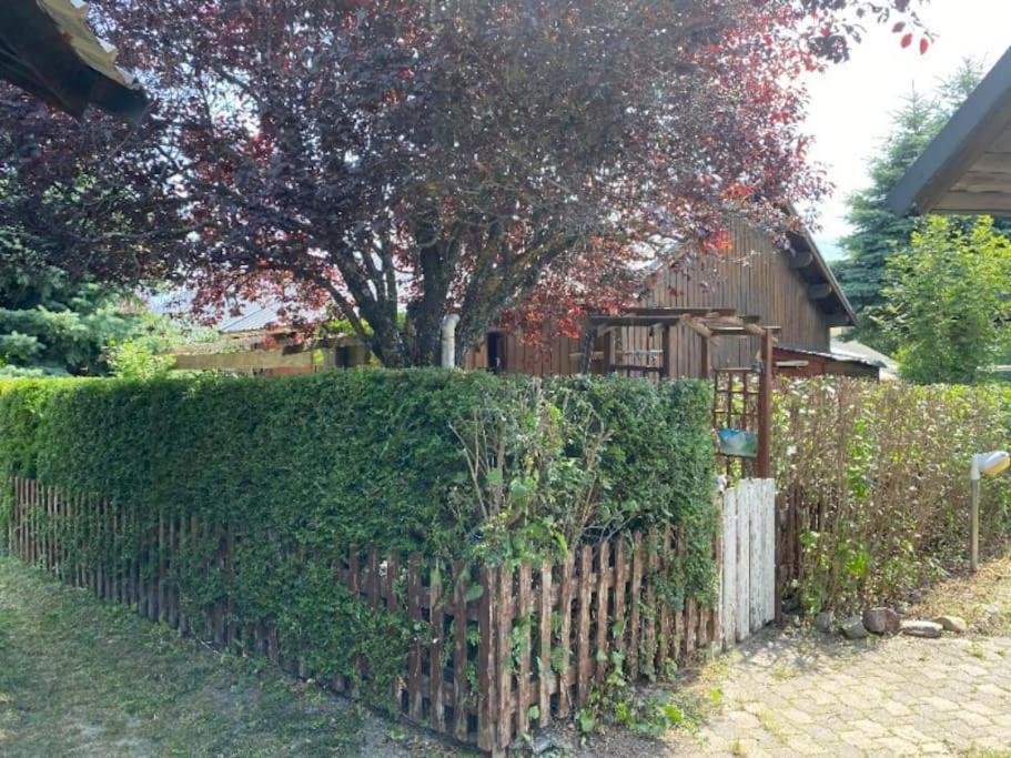 Petit 40 M2 En Ubaye